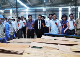 Cơ hội cho ngành sản xuất gỗ